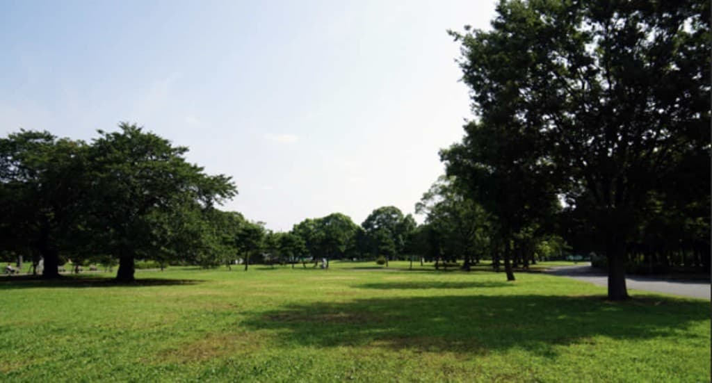 7/13(土)篠崎公園ラン&テニス参考画像:0