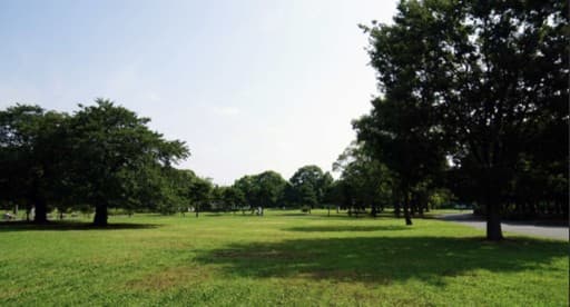 7/13(土)篠崎公園ラン&テニス参考画像:0