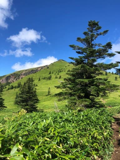 9/14,15or 15,16 鳥海山、月山