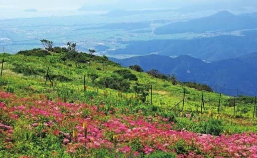 岐阜県　伊吹山参考画像:1