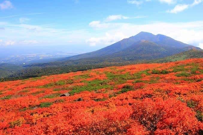 【急募】【盛岡駅発】9/28-29 八幡平→三ツ石→岩手山　紅葉縦走参考画像:0