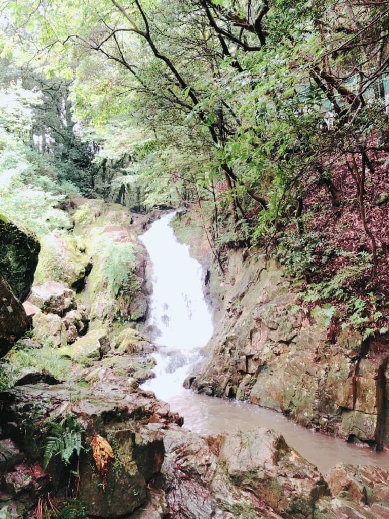 定光寺・ウォーキング会参考画像:0