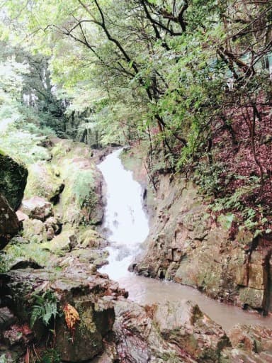 定光寺・ウォーキング会