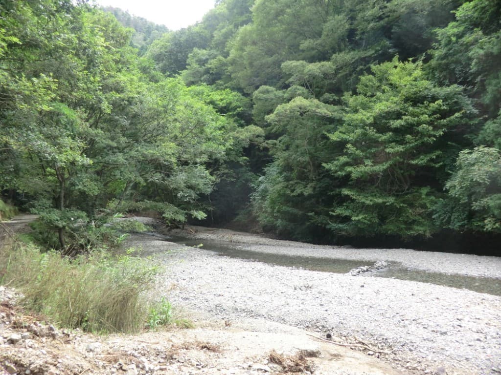8/13（火）大阪・能勢妙見山の川沿いコースで山登り参考画像:0