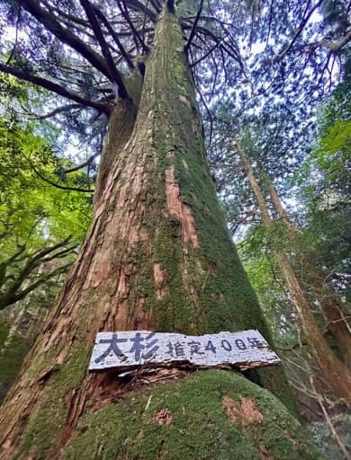 脊振ハイカー参考画像:2