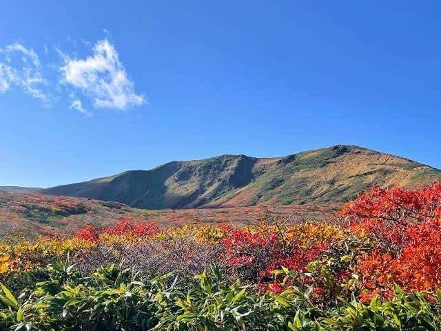 9/28・29🍂秋の栗駒山参考画像:0