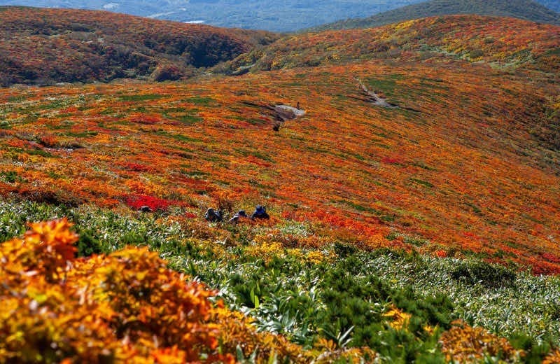 9/28・29🍂秋の栗駒山参考画像:1