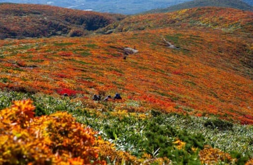 9/28・29🍂秋の栗駒山参考画像:1