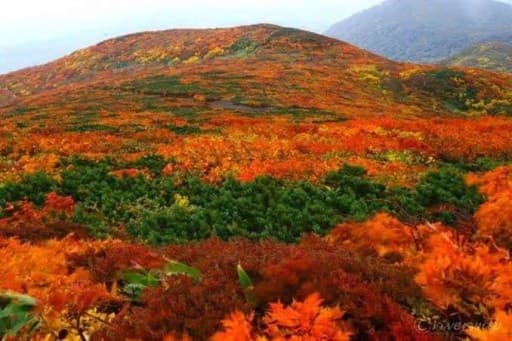 9/28・29🍂秋の栗駒山参考画像:2