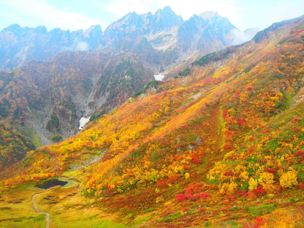 再募集‼️裏剱、阿曽原温泉、下ノ廊下🍁参考画像:0
