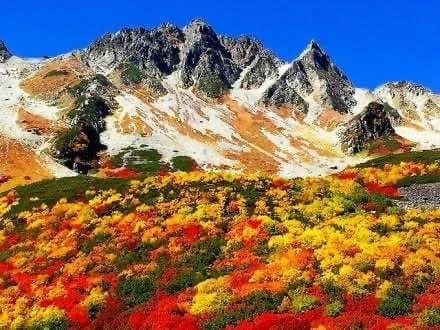 秋の涸沢参考画像:0