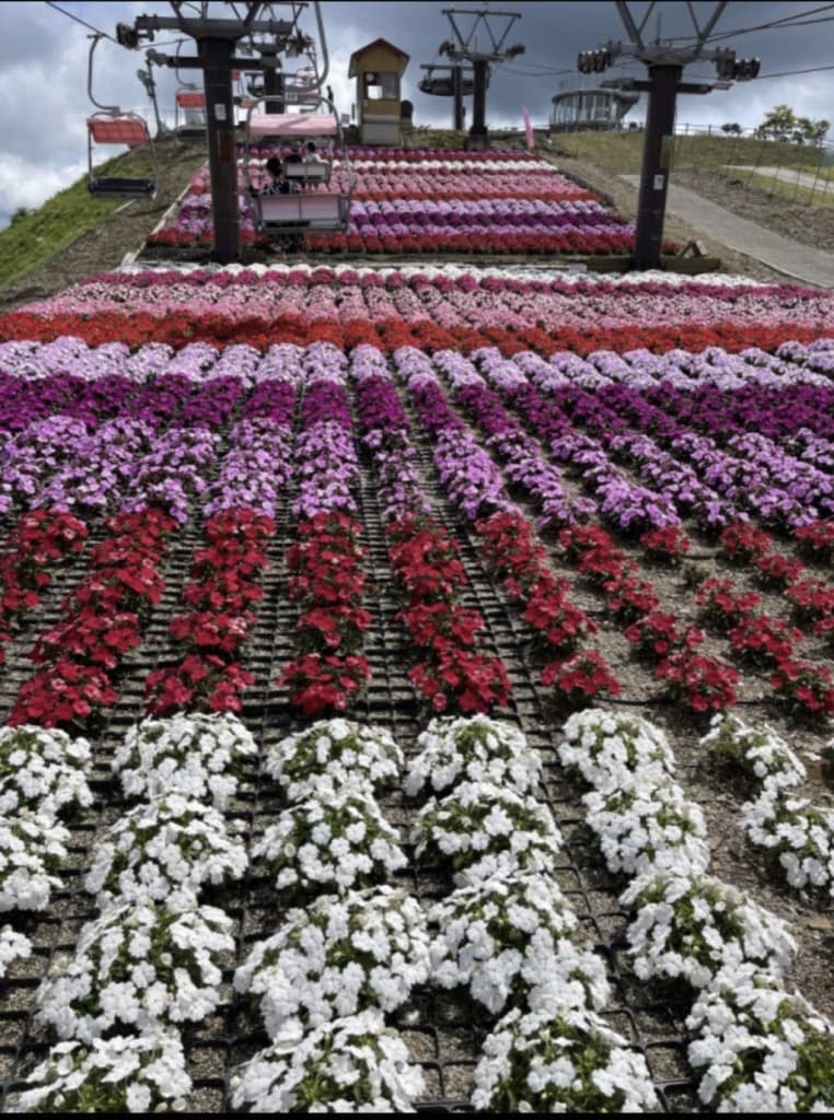 大阪発【急募】9/15 or 9/16愛知県最高峰の茶臼山1415m参考画像:0