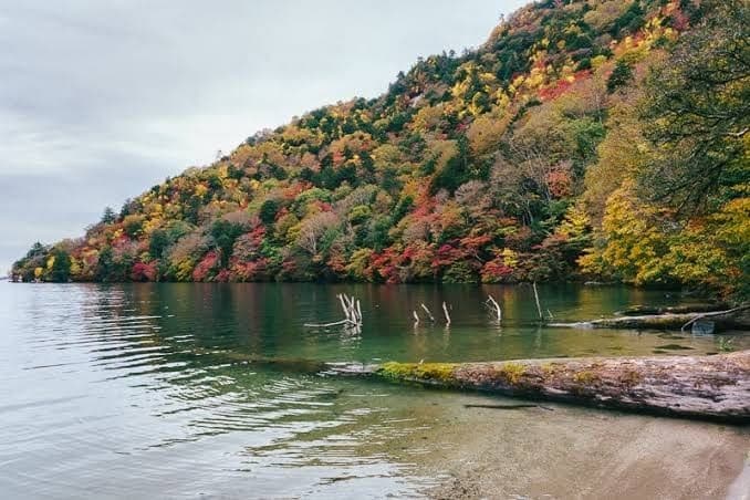 キャンプや登山仲間募集参考画像:1