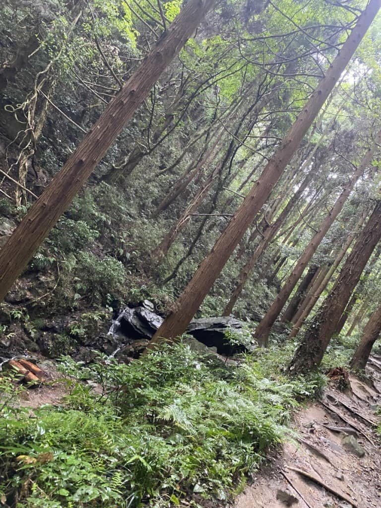 女性限定！１０月3日木曜　日和田山参考画像:0