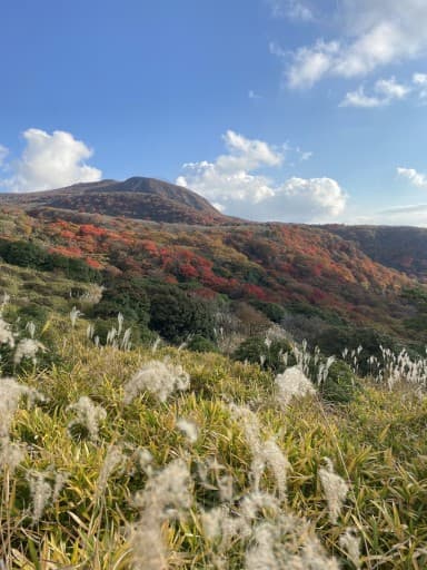 【募集締切】10/20(日) 栗駒山⛰️🍁