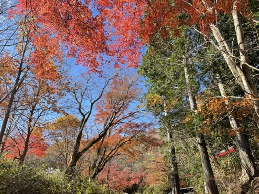 【満員御礼】会津駒ヶ岳＆中倉山🍁【1泊2日】参考画像:1