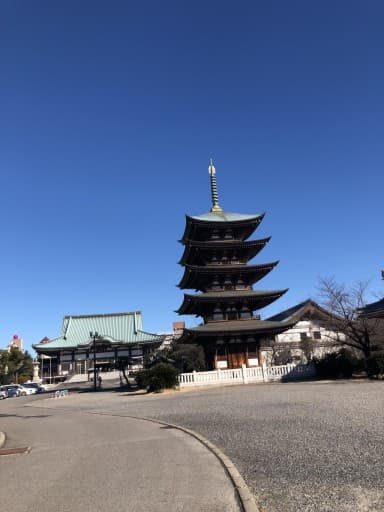 覚王山と名古屋城ウォーキングしませんか？🏃‍♀️
