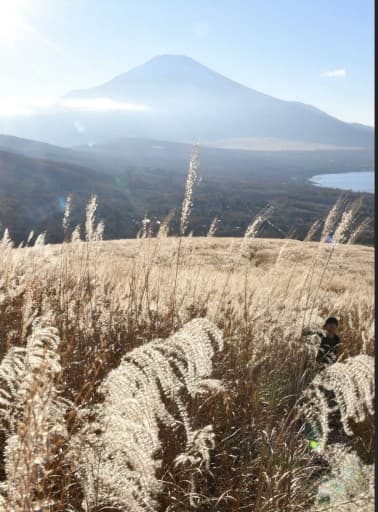 10/6(日)三国山〜鉄砲木の頭（現地集合現地解散）