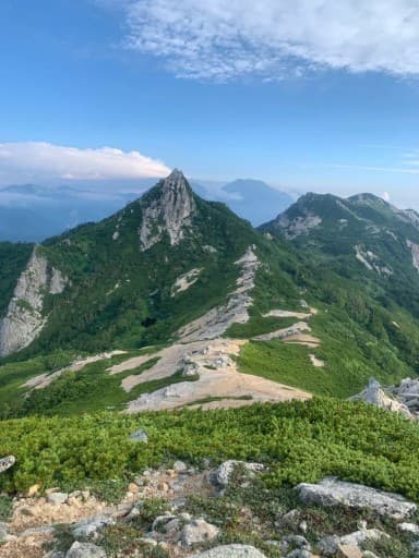 山友募集