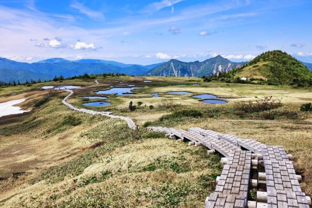 【苗場山】10月14日(月・祝) タクシー相乗り募集🚕💨越後湯沢駅⇄和田小屋参考画像:0