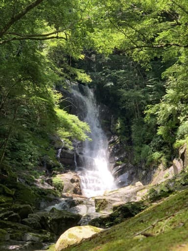 神奈川丹沢:大倉→丹沢山ピストン⛰️参考画像:1