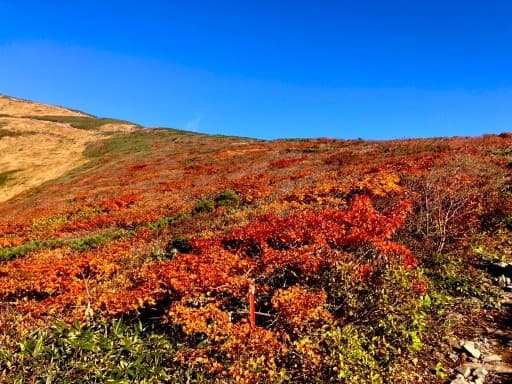 【募集終了】栗駒山