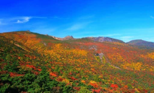 【急募】10/20(日) 安達太良山