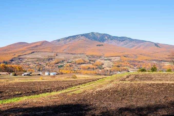 【募集】四阿山参考画像:0