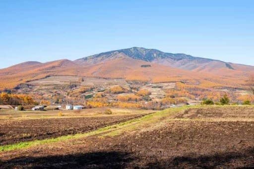 【募集】四阿山参考画像:0