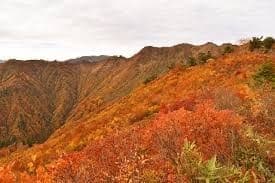 10/26(土)会津朝日岳【25日夜発】