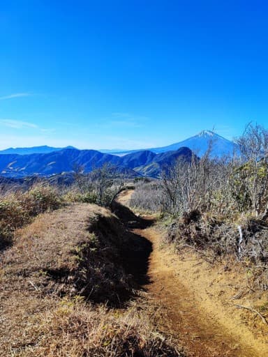【箱根登山】明神ヶ岳-金時山縦走⛰️参考画像:1