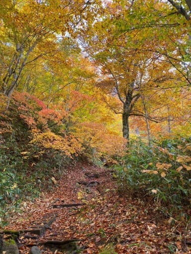 【急募】八海山ロープウェー10/27日、2名まで