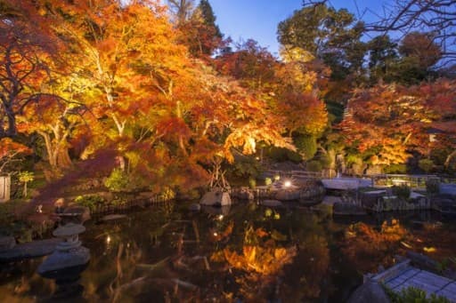 12/8(日) 鎌倉 紅葉お寺温泉 ハイキング (Kamakura hike)参考画像:0