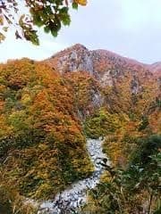 11/10(日)裏巻機渓谷🍁