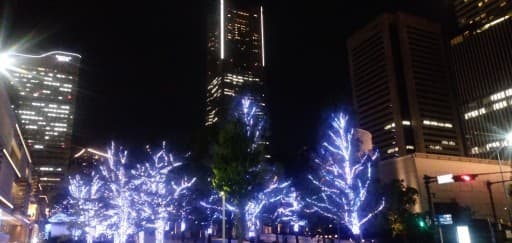 11/13 水曜日19:15横浜みなとみらいランニング&ヨガ　夜景ランニング参考画像:0