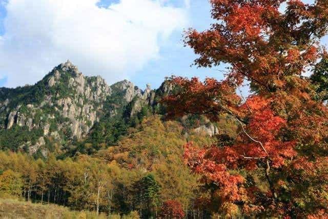 11/4 【明日！】金峰山〜瑞牆山 日帰り縦走参考画像:1