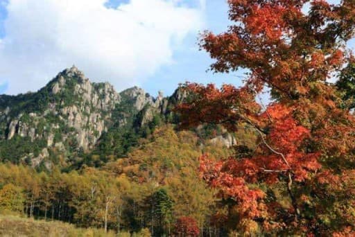 11/4 【明日！】金峰山〜瑞牆山 日帰り縦走参考画像:1