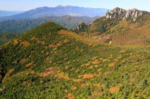 11/4 【明日！】金峰山〜瑞牆山 日帰り縦走参考画像:2