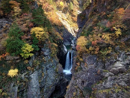 【満員御礼】11月9日(土)紅葉の裏巻機渓谷(ハイキング) 同行者募集【所沢･東所沢発】参考画像:1