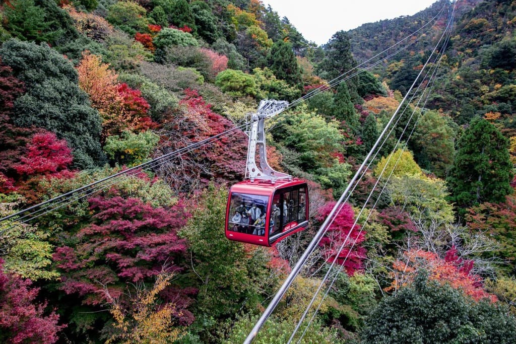 【急募】11/24紅葉見に六甲山行ってくれる方募集中。参考画像:0