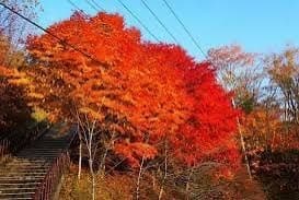 11/16(土)妙法ヶ岳