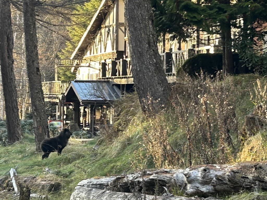40〜50代　幕張　習志野　船橋より北アルプス　立山　福島　新潟　山形遠征参考画像:0