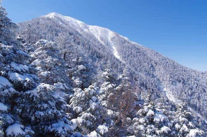 【急募】【都内発】11/30-12/1 麦草岳（避難小屋泊）参考画像:0