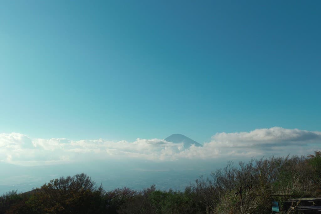 丹沢山ピストン🚶大倉バカ尾根参考画像:1