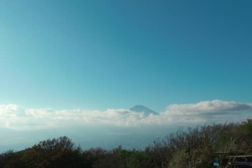 丹沢山ピストン🚶大倉バカ尾根参考画像:1
