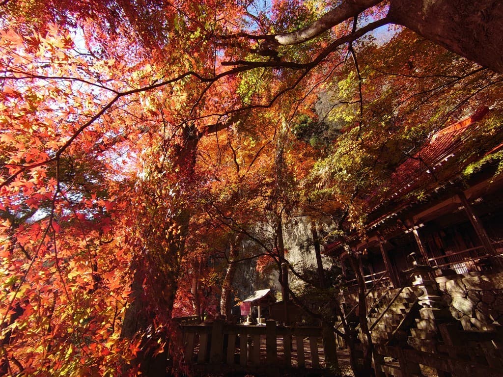 【締切】12月1日(日)スリリングな黒滝山(観音岩)と不動寺の紅葉 同行者募集【所沢・東所沢発】参考画像:0