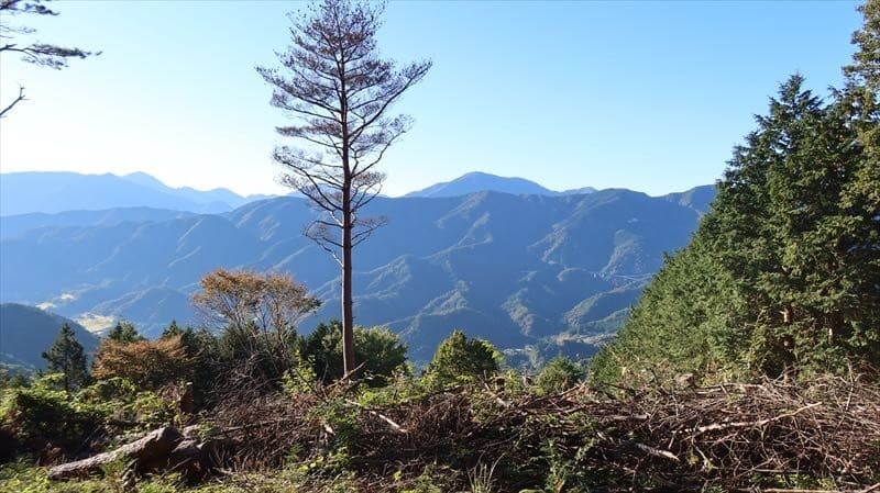 矢平&高柄山:12/7(土)参考画像:0