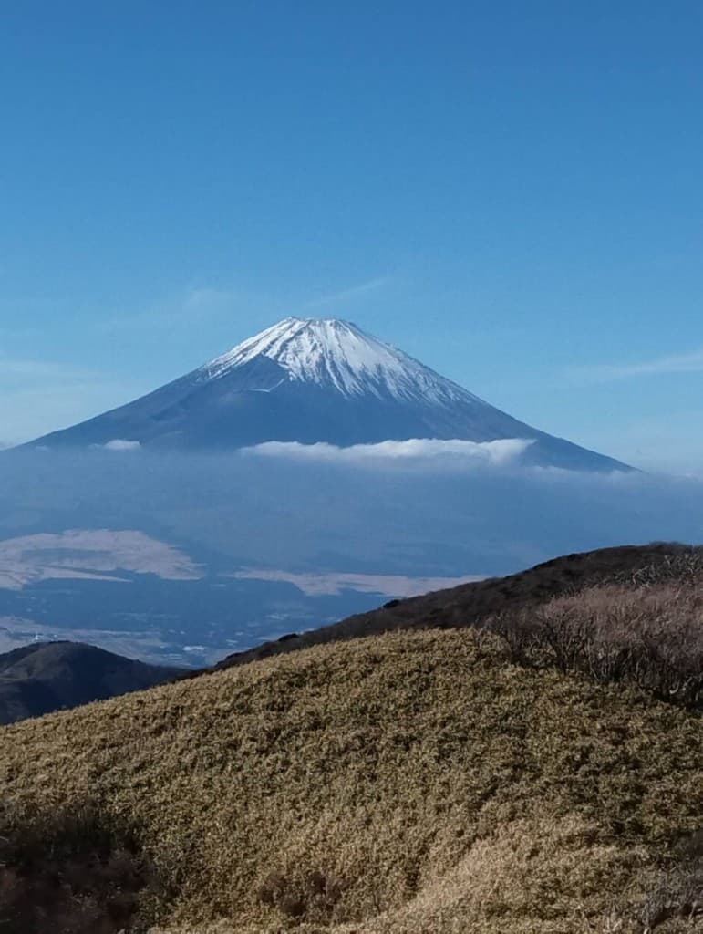 【大岳山】12/30(月)参考画像:0
