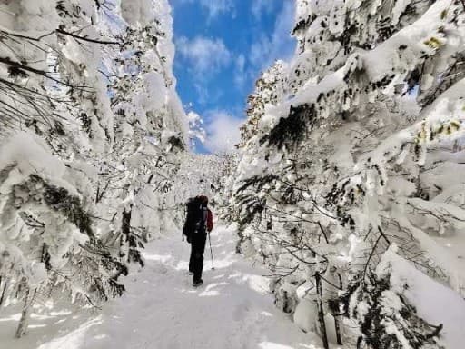 1月 新春雪山チャレンジツアー［入門編］参考画像:2