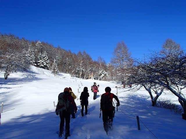 1/3 入笠山 雪山ハイキング ★2名募集参考画像:0
